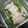 crystaI's cooksnap of when they made 【主菜・副菜】豚肉巻きのレンジ蒸し.