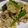 yk4c's cooksnap of when they made ☆豚こまのカレー炒め☆.