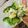クックM96XDX☆'s cooksnap of when they made 簡単♡ゆで卵のサラダドレッシング.