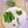 へい♡ゆー♡'s cooksnap of when they made 簡単！スナップえんどうスジの取り方.