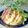 Satoco❋'s cooksnap of when they made ふきのとうの天ぷら『きれいに揚げるコツ』.