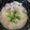 はぁぴょん's cooksnap of when they made 【ネギ塩豚そうめん】そうめんアレンジ.