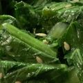 MULA's cooksnap of when they made 大根の葉っぱのナムル.