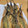 B1SC0's cooksnap of when they made おうちでサクサク♪＊いわしフライ＊.