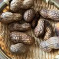 ＫＩＫＯ姫's cooksnap of when they made 旬の 落花生 圧力鍋で簡単 絶品ゆで方.