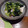 ひっこ's cooksnap of when they made 大根の葉の漬物〜野沢菜漬け風〜.