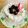 ボブナナ's cooksnap of when they made ＊クリスマスケーキ＊.