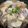 すももすけ's cooksnap of when they made こだわりの染みうま絶品肉豆腐※簡単夕ご飯.