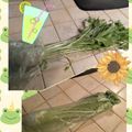 ダッフィーニーうに's cooksnap of when they made 水菜・セロリを新鮮に持たせる方法♬.