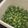 ☆lalapin☆'s cooksnap of when they made グリーンピースのキレイなゆで方と保存法.