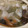 ﾌﾞﾚﾝﾀﾞ's cooksnap of when they made ＊長ネギたっぷりの＊たらちり鍋＊.