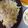 みいふうもふ's cooksnap of when they made 白だしの効いた簡単親子丼！.