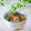 Satoco❋'s cooksnap of when they made 夏は冷やして♪白だしで簡単お茶漬け.
