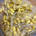 Risaru777's cooksnap of when they made 韓国の家庭の味１！豆もやしのナムル.