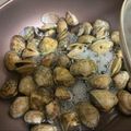 柴犬のお顔☆'s cooksnap of when they made アサリの酒蒸し.