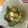 ぱにぱる's cooksnap of when they made オクラと梅干しの和え物.