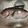 そろそろねんね's cooksnap of when they made 超簡単！魚のうろこの取り方.