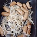 ほのりんママさん's cooksnap of when they made 簡単あと１品☆もやしウインナー鶏ガラ炒め.