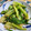 ぽー's cooksnap of when they made 青梗菜炒め.
