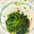 tomitomico's cooksnap of when they made 神座の辛味ニラ♪.