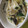 あゆたっくん's cooksnap of when they made ∮ カレー味✰彡もやしとタラの蒸し煮 ∮.