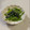 クックA4NCDV☆'s cooksnap of when they made 冷凍作り置き★ほうれん草の胡麻和え.