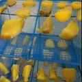 クック9YDRCY☆'s cooksnap of when they made 市販品に負けないぞ～！！黄金色の干し芋.