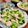 Superlittleboo's cooksnap of when they made 減塩！胸肉とブロッコリーの中華風餡掛け.