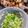 といちゃむ's cooksnap of when they made ☆ねぎ塩だれ☆.