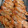 bakayuka's cooksnap of when they made * はねないよ！甘エビの唐揚げ *.