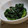 にゃぁくん's cooksnap of when they made にらの中華風おひたし.