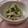 さとっち★'s cooksnap of when they made きゅうりとささみのゴマ和え.