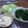 rate★'s cooksnap of when they made 本格＊使い切りシーザードレッシング＊.