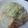 かおり＠オニャンコ教's cooksnap of when they made 大根と鶏ムネ肉のサラダ.