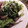 principito's cooksnap of when they made ほうれん草のゆずゴマペーストソース和え.