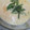 のじまさん's cooksnap of when they made 簡単うまい！茶碗蒸し.