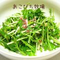 あこびちの養生日和's cooksnap of when they made 水菜のアンチョビのタワーサラダ.