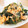 ななクレープ's cooksnap of when they made わかめとキムチの卵とじ.