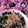 りりり♪'s cooksnap of when they made もやし和え　☆.