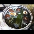enjerika's cooksnap of when they made 西川ヘレンさんお勧め『秘伝だし』の取り方.