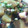 amiami1234's cooksnap of when they made ◯たこと大根◯の簡単煮物♬.