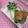 haruiroもも's cooksnap of when they made 肉巻きねぎ（甘辛生姜たれ）.