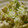かおかなゆみ's cooksnap of when they made 箸が止まらない♡ちくわとネギのマヨ和え.