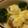 ちょこ０１７'s cooksnap of when they made 新玉ねぎソテーのチーズのせ.
