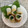 horseland's cooksnap of when they made ちくわに青菜.