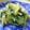 Munchkin's　Mom's cooksnap of when they made 小松菜と松山あげの炒め物.