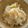 mokenyan's cooksnap of when they made 京風☆シンプルたけのこご飯.