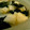 HaRu-T's cooksnap of when they made 胡瓜とタコとワカメの酢の物.