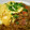 natoline's cooksnap of when they made デミ☆ライス　たまごと一緒に.
