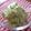 まじゅじゅ's cooksnap of when they made 超シンプルアボカドディップ.